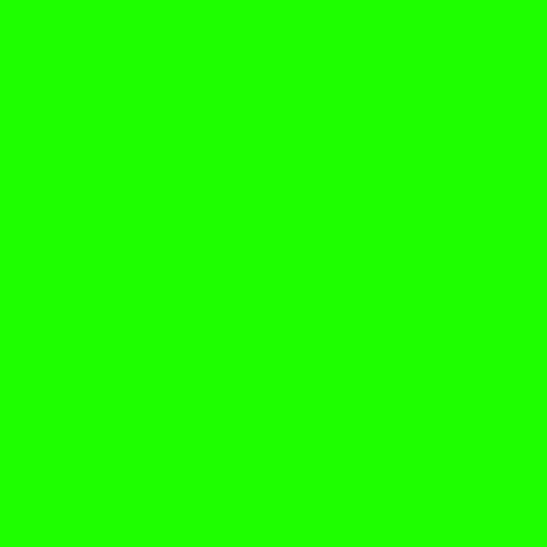 500×500pxの単色画像 #1EFF00(カラー番号080)