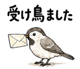受け鳥ました