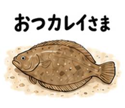 おつカレイさま