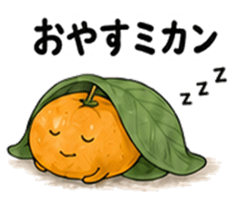 おやすミカン